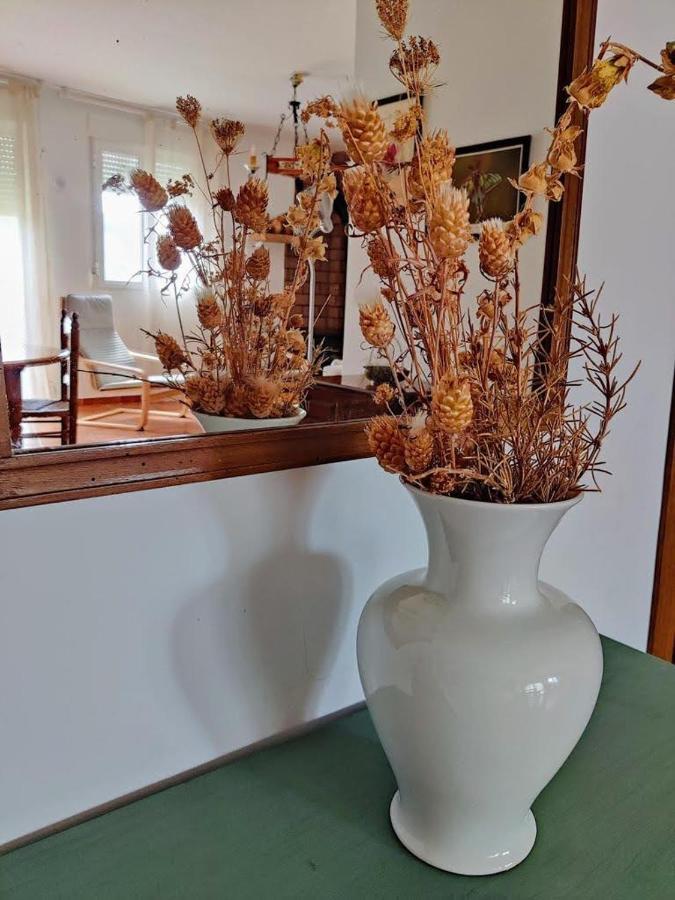 Apartamento Rural El Vidre Vt-42035-Cs Vistabella del Maestrazgo Luaran gambar
